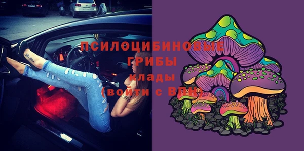 2c-b Алзамай
